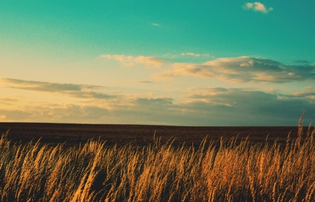 数码产品深度评测